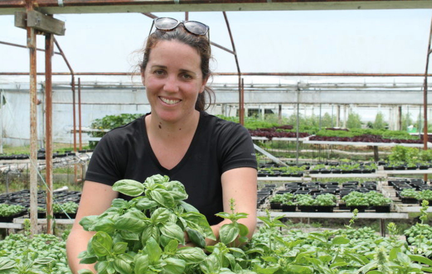 clevedon herbs and produce